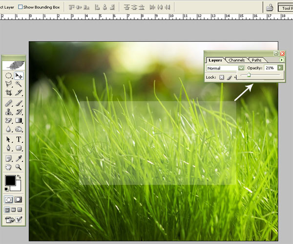 Glossy Grass Login Panel
